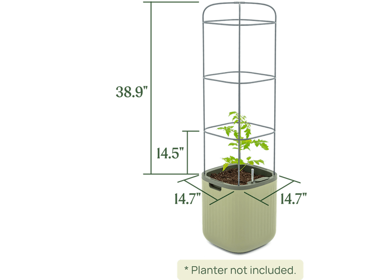 Vego garden beds