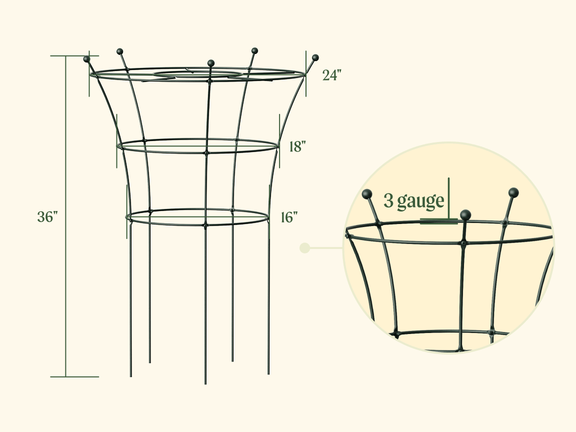 Vego garden beds