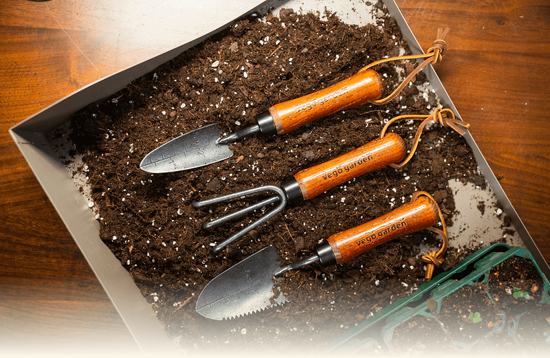 Vego garden beds