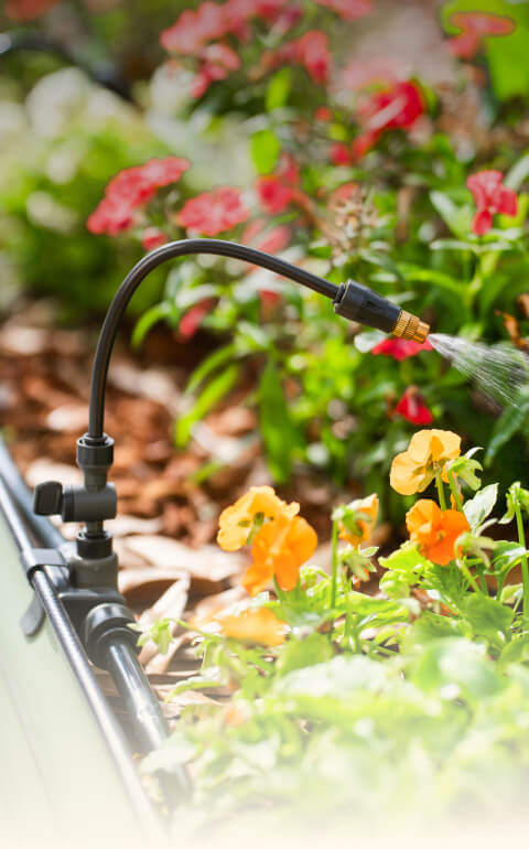 Vego garden beds