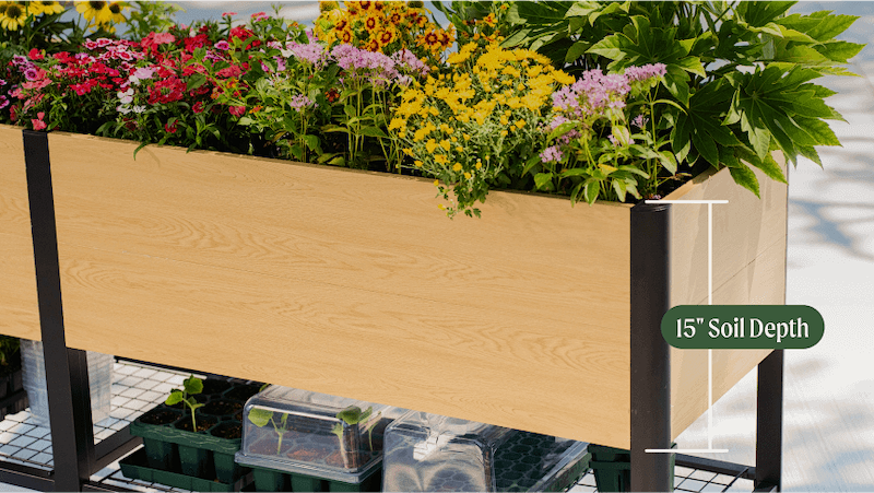 Vego garden beds