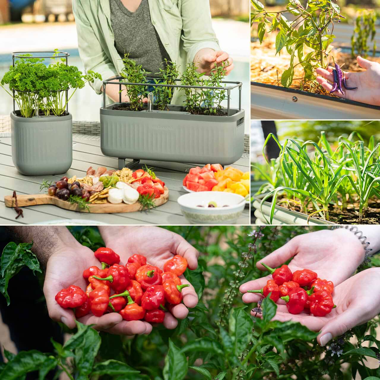 Vego garden beds