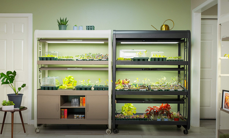 Powerful Light, Perfectly in Tune With Your Plants