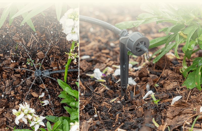 Vego garden beds
