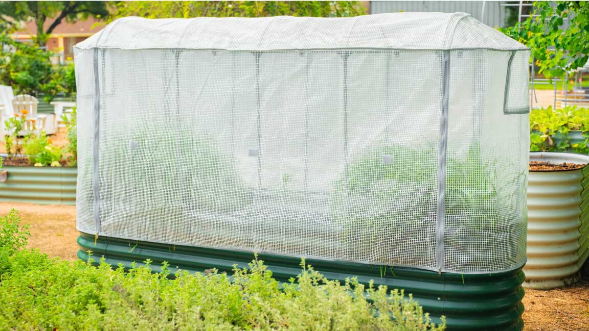 Vego garden beds