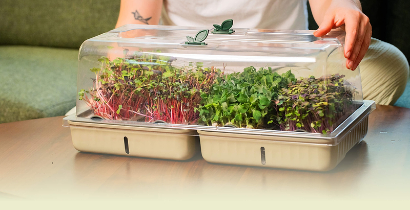 Vego garden beds