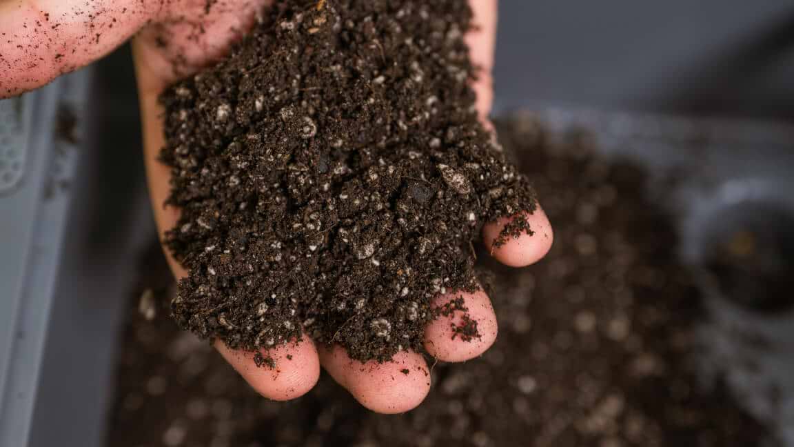 Vego garden beds