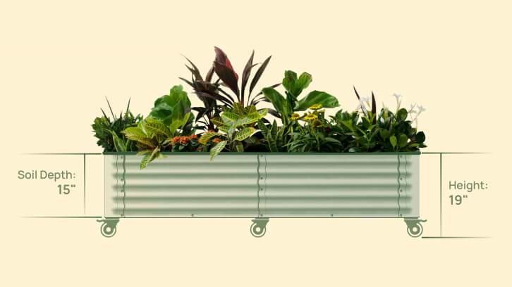 Vego garden beds
