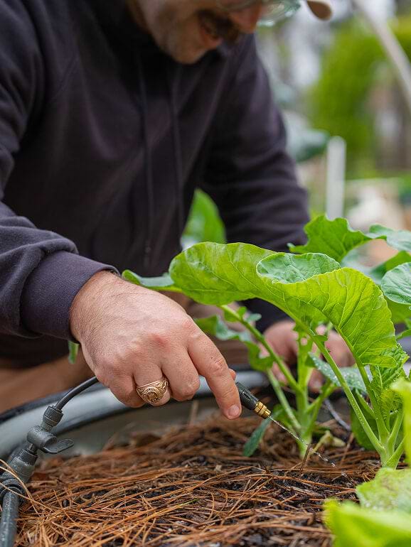 Vego garden beds