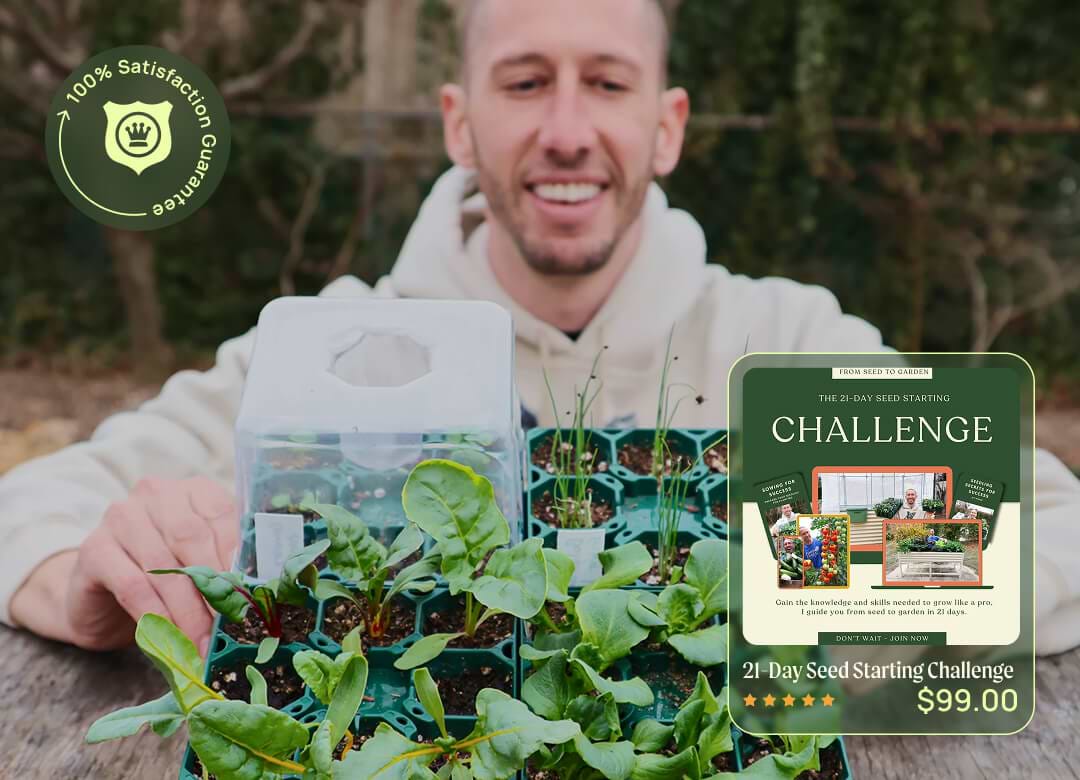 Vego garden beds