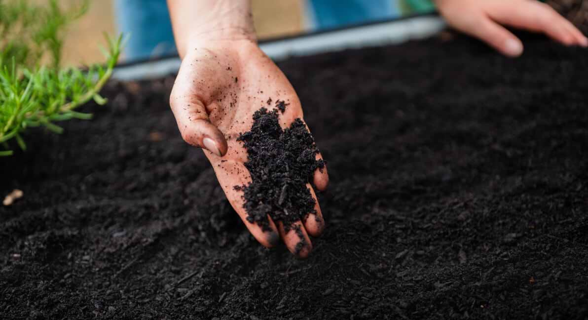 Soil & Fertilizers