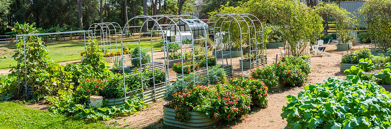 Vego garden beds