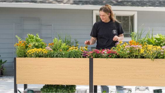 Vego garden beds