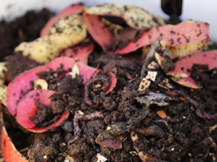 Vego Garden Sustainability