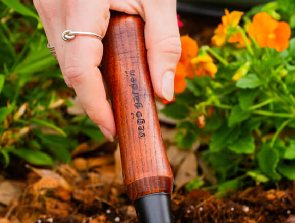 Vego garden beds