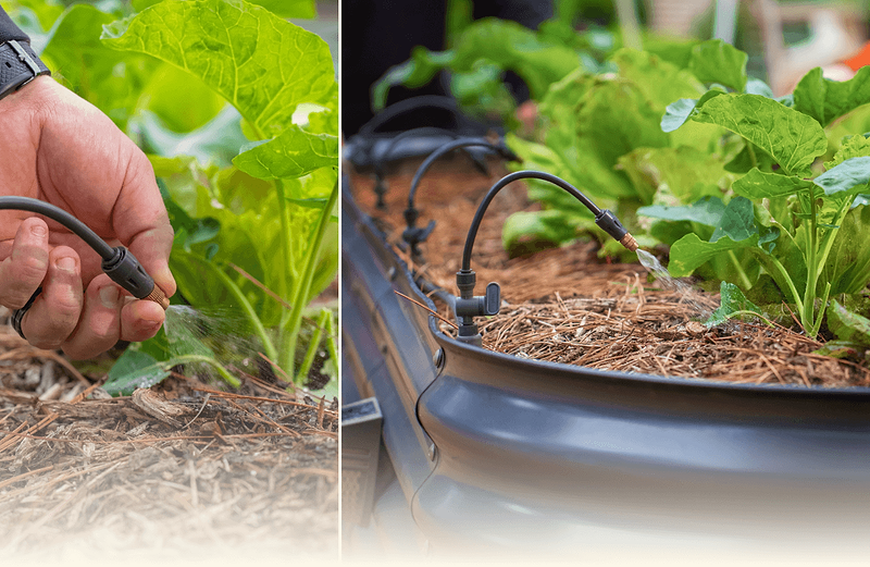Targeted Watering