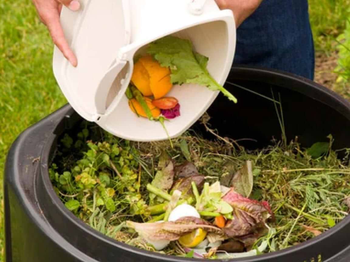 The Food Waste Problem
