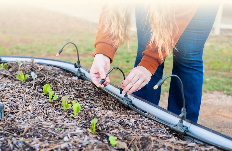 Vego garden beds