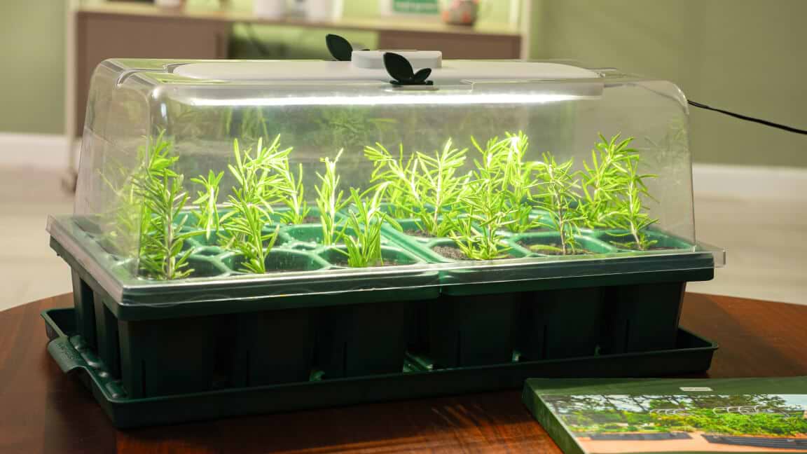 Vego garden beds