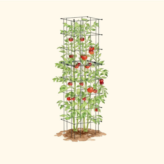 Vego garden beds