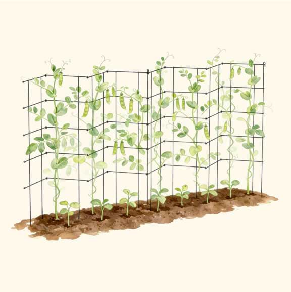 Vego garden beds