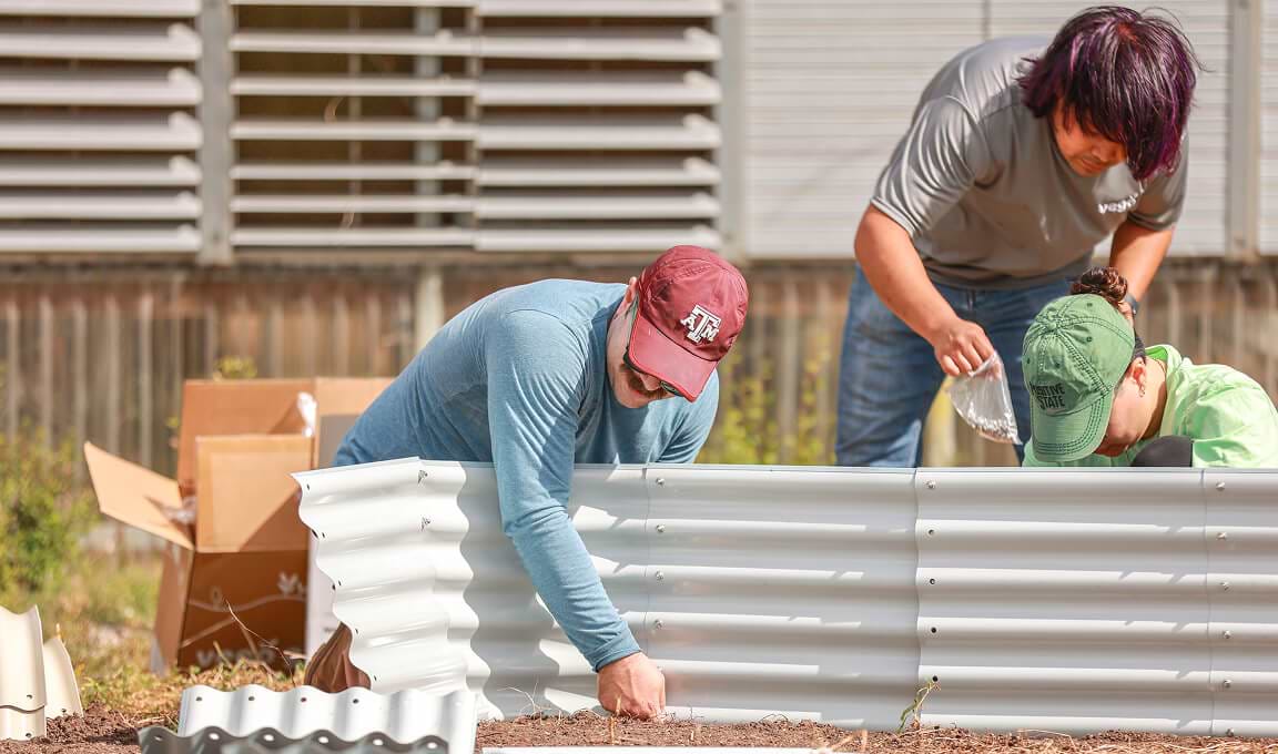 Vego garden beds