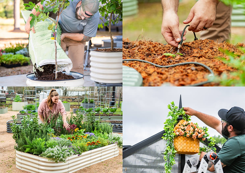Vego garden beds