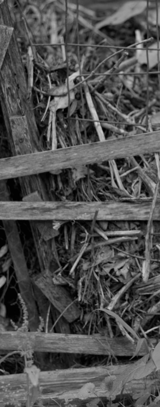 Vego garden beds