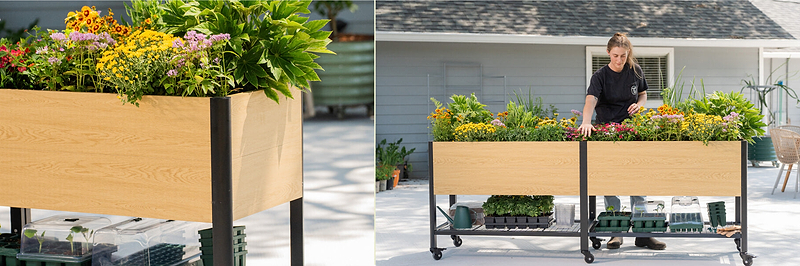 Vego garden beds
