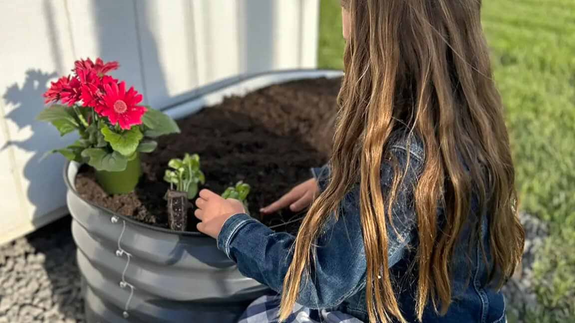 Vego garden beds