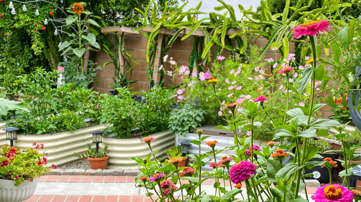 Vego garden beds