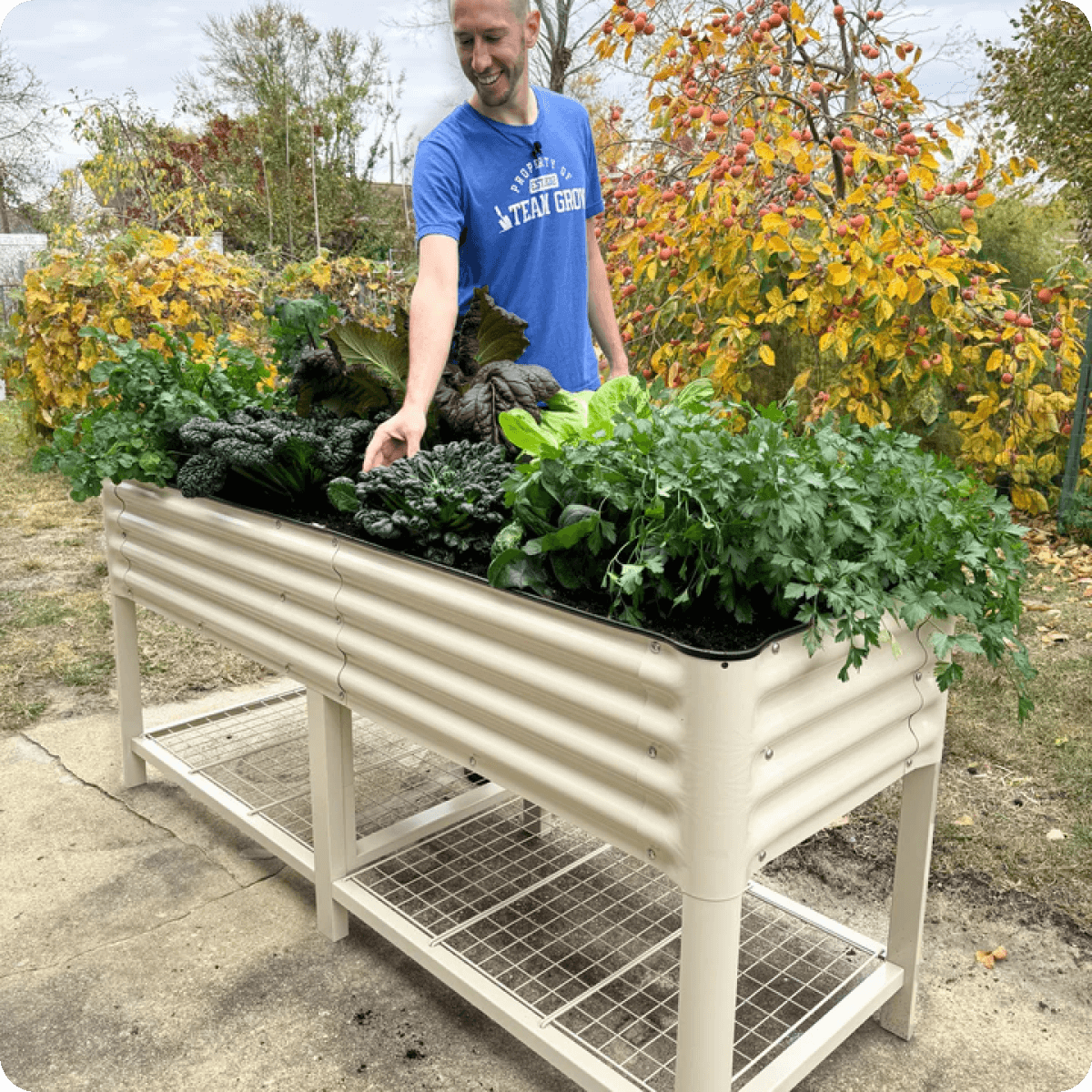Vego garden beds