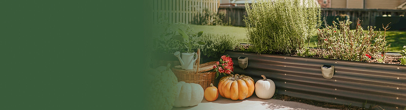 Vego garden beds