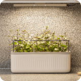 The Vego Grow Light