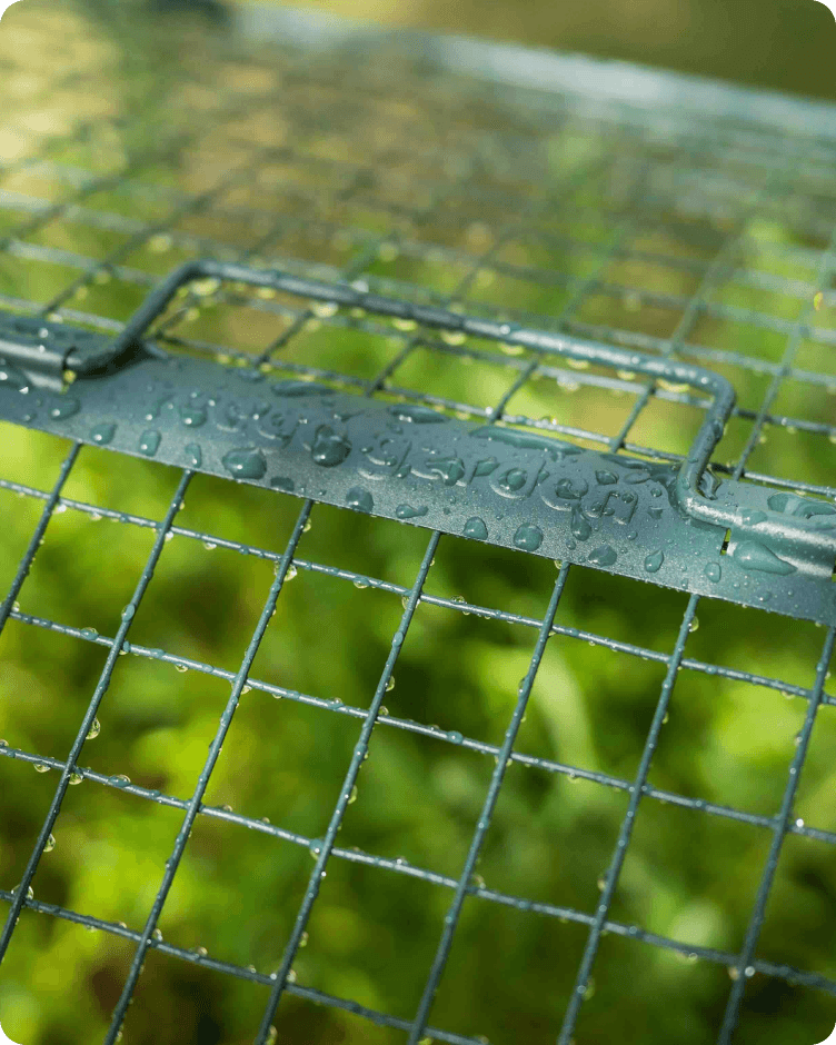 Powder-coated wire cloche after watering