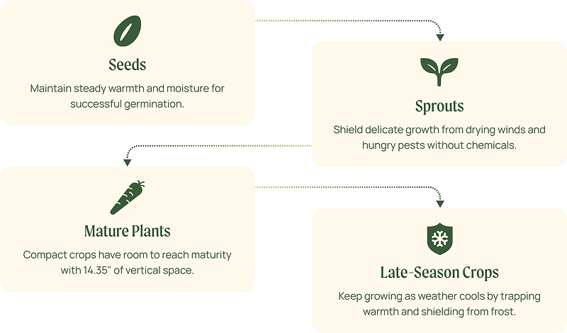 Vego garden beds