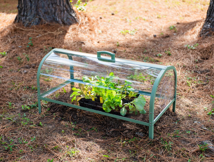 Vego garden beds
