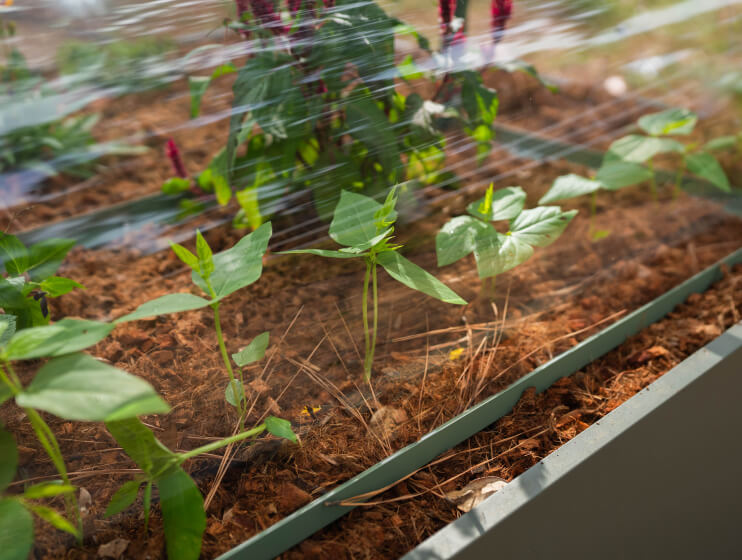 Vego garden beds