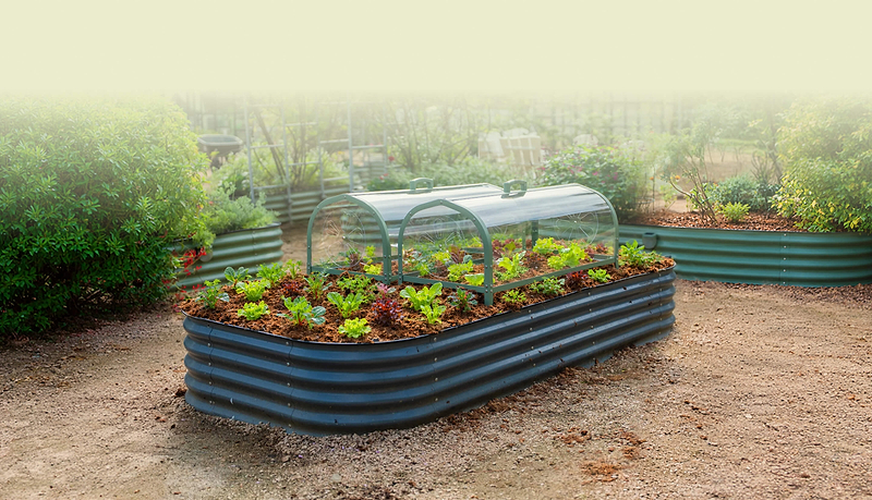 Vego garden beds