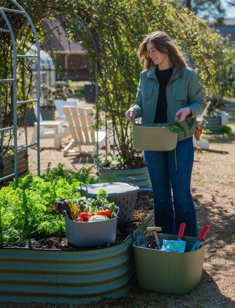 Vego garden beds