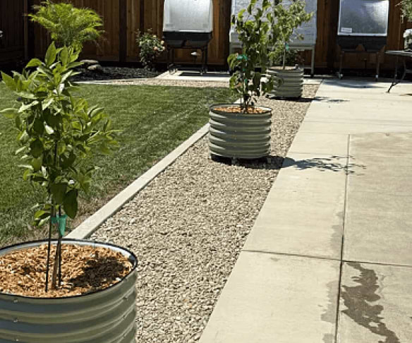 Vego garden beds
