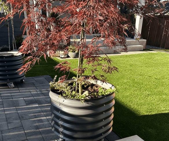 Vego garden beds