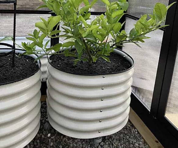 Vego garden beds