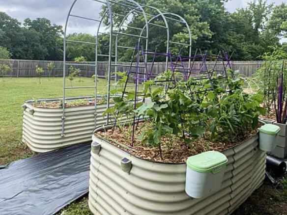 Vego garden beds