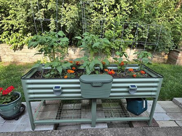 Vego garden beds