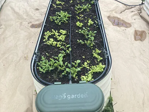 Vego garden beds