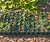 Seed Starting Bundle - 10" x 20"