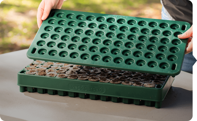 Vego garden beds