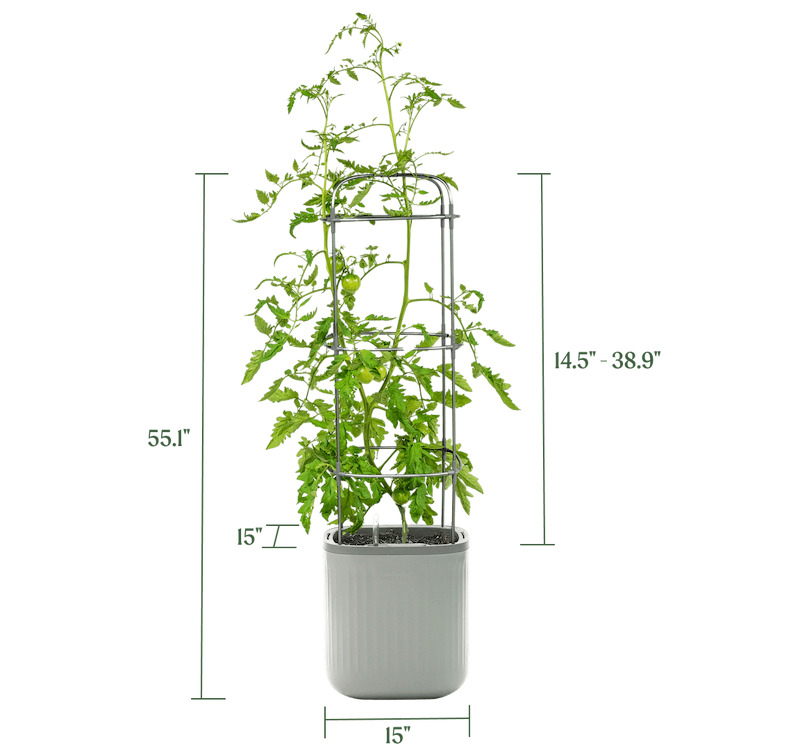 Vego garden beds