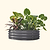 11" Tall 42" Round Modular Metal Raised Garden Bed Kit | Vego Garden | Modern Gray | Vego Garden